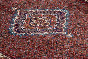 21570-Persian_Afshar_Bidjar_Very_Fine_Semi-Antique_Rug-4'1''x4'11''-Iran-4