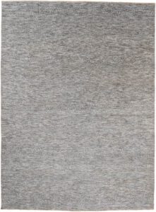 Modern Transitional Handwoven Wool Rug