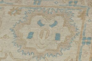 51265_NVA508D-Antique_Reproduction_Super_Fine_Agra_Light_Blue_Ivory_Rug-9'0''x12'5''-Afghanistan-17