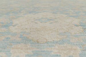 51265_NVA508D-Antique_Reproduction_Super_Fine_Agra_Light_Blue_Ivory_Rug-9'0''x12'5''-Afghanistan-9