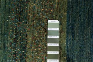 38045-Persian_Kashkuli_Ultimate_Gabbeh_Rug-4'2''x6'6''-Iran-15