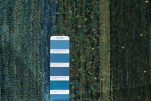 38045-Persian_Kashkuli_Ultimate_Gabbeh_Rug-4'2''x6'6''-Iran-16