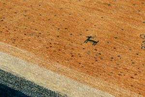 38272-Persian_Kashkuli_Ultimate_Gabbeh_Rug-4'6''x6'7''-Iran-6