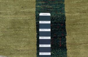 38282-Persian_Kashkuli_Ultimate_Gabbeh_Rug-4'4''x6'3''-Iran-13