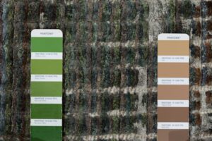 54084_UMD164A-Allure_Forest_Tibetan_Wool_&_Silk_Rug-9'1''x12'1''-Nepal-8