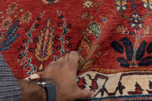 34110-Persian_Khamsehbaf_Mughal_Garden_Ultimate_Village_Rug-6'0''x9'0''-Iran-10