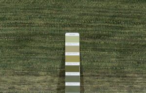 43904_ESW206A-Essential_Wool_Legacy_Gabbeh_Handwoven_Rug-4'0''x6'2''-India-11