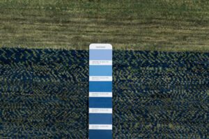 43904_ESW206A-Essential_Wool_Legacy_Gabbeh_Handwoven_Rug-4'0''x6'2''-India-12