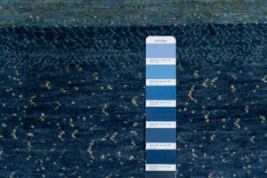 43904_ESW206A-Essential_Wool_Legacy_Gabbeh_Handwoven_Rug-4'0''x6'2''-India-13
