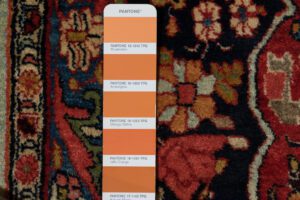 24482-Antique_Bidjar_Fine_Handwoven_Rug-9'0''x12'0''-Persia-16