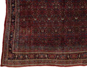 24693-Antique_Bidjar_Handwoven_Rug-9'0''x12'0''-Persia-1-Border