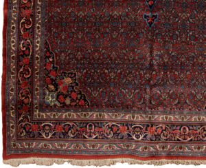 33020-Antique_Bidjar_Fine_Handwoven_Rug-8'6''x11'8''-Persia-1-Border