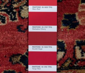 33924-Antique_Persian_Sarouk_Rug-9'0''x16'0''-Persia-17