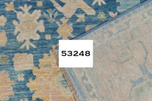 53248_BTR003A-Harshang_Transitional_Fine_Handwoven_Tribal_Rug-10'1''x14'0''-Afghanistan-9