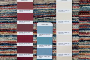 53250_BTR012A-Gabbeh_Couleurs_Handwoven_Transitional_Rug-2'6''x5'4''-Afghanistan-9