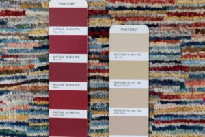 53258_BTR012A-Gabbeh_Couleurs_Handwoven_Transitional_Rug-10'0''x12'8''-Afghanistan-14