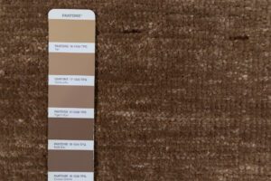 54478_ESW735F-Candor_Saddle_Knotted_Ghazni_Handwoven_Rug-1'0''x1'0''-India-5