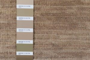 54480_ESW735G-Candor_Taupe_Knotted_Ghazni_Handwoven_Rug-1'0''x1'0''-India-5