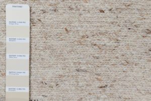 54550_EWV156N-Soumak_Natural_Undyed_Essential_Wool_Handwoven_Rug-1'0''x1'0''-India-5