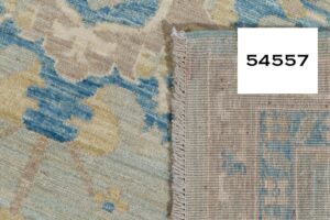 54557_BTR002A-Heriz_Transitional_Handwoven_Tribal_Rug-9'0''x11'3''-Afghanistan-12