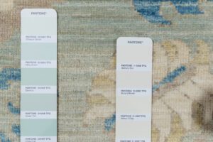 54557_BTR002A-Heriz_Transitional_Handwoven_Tribal_Rug-9'0''x11'3''-Afghanistan-13