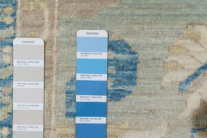 54557_BTR002A-Heriz_Transitional_Handwoven_Tribal_Rug-9'0''x11'3''-Afghanistan-14