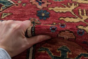 54565_BTR002A-Bakshaish_Handwoven_Tribal_Rug-10'0''x17'7''-Afghanistan-15