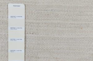 54213_UMD504D-Nalah_Afghan_Flat_Weave_White_Handwoven_Rug-2'0''x3'0''-Afghanistan-6