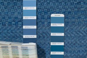42515_ESW101A-Gabbeh_Blue_Essential_Wool_Heirloom_Rug-9'10''x13'11''-India-14